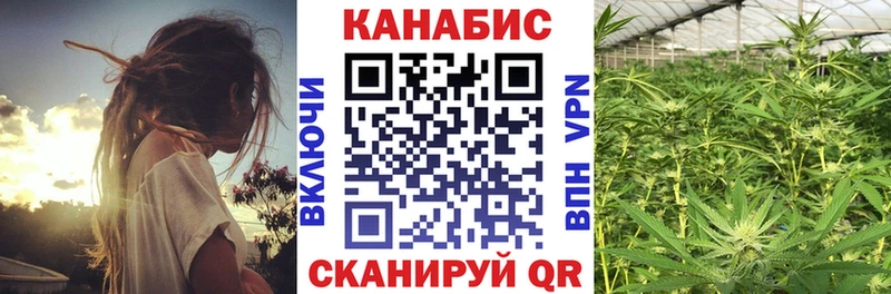 Канабис план  Алейск 